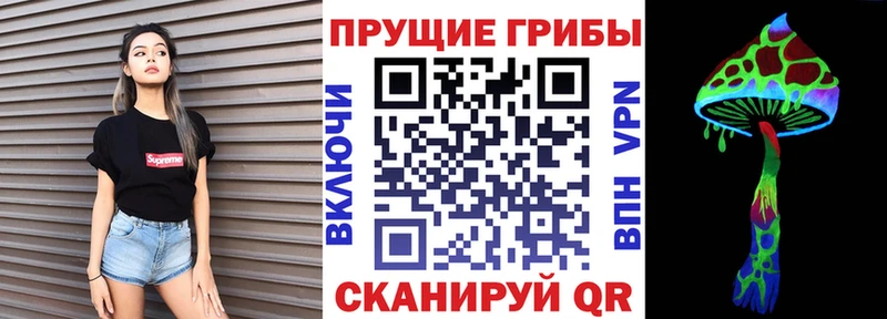 как найти закладки  Тобольск  Псилоцибиновые грибы мицелий 