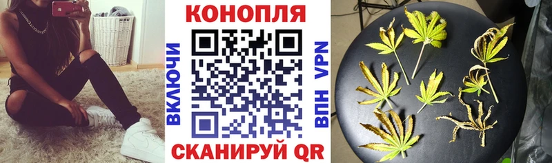 Марихуана план  Тобольск 